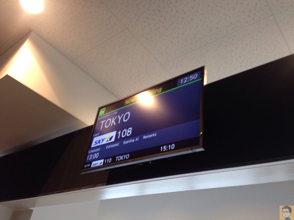 スカイマークsky108便 神戸空港発羽田空港行 搭乗記 手荷物 機内サービス 座席 たまねこトラベル