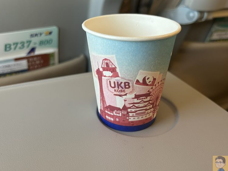 スカイマーク157便
